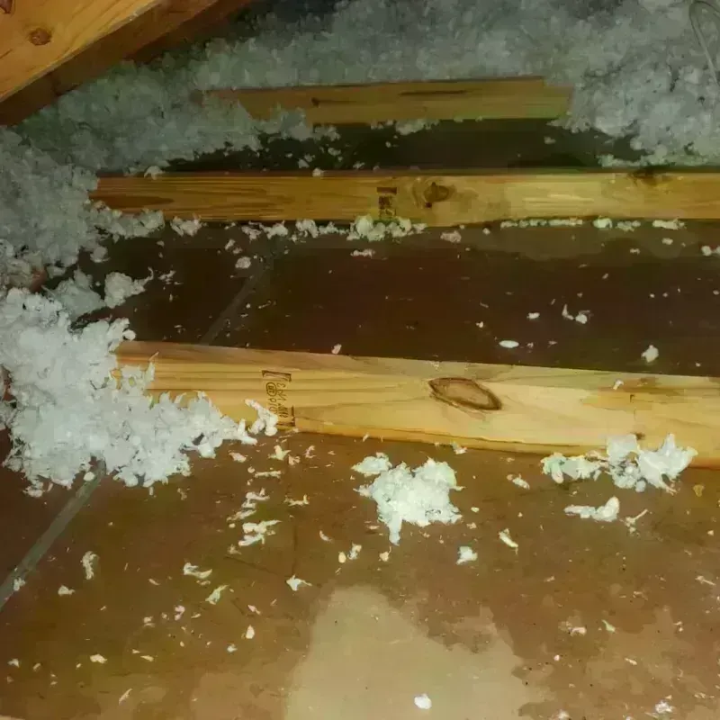 Attic Water Damage in Tarboro, NC