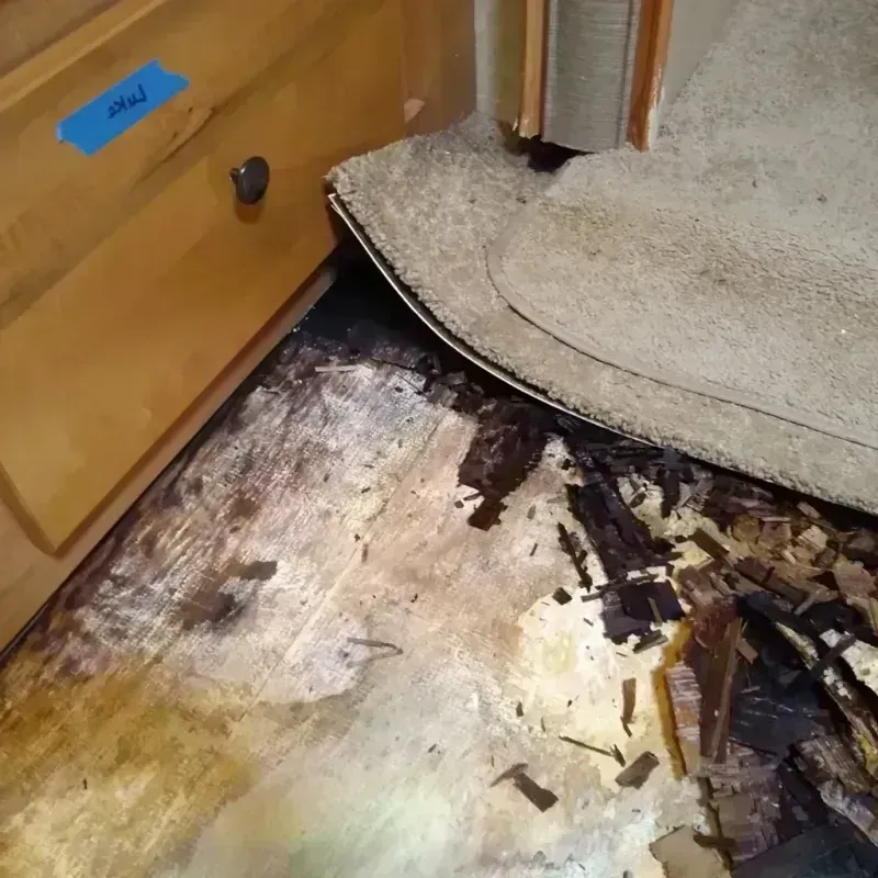 Best Wood Floor Water Damage Service in Tarboro, NC